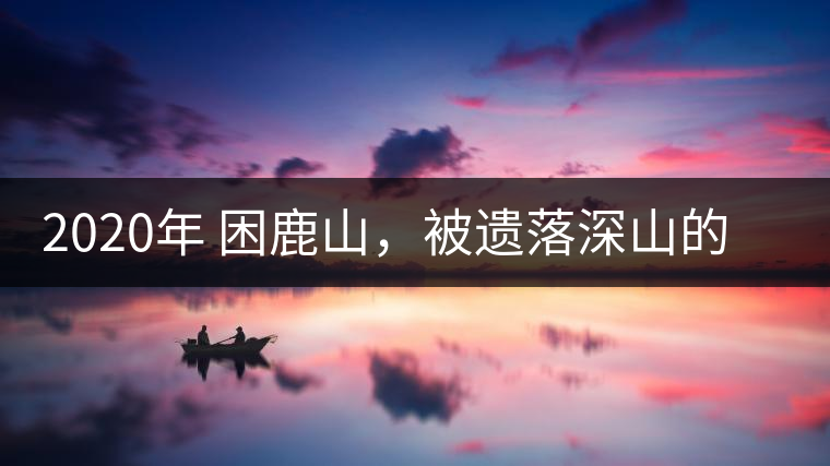 2020年 困鹿山，被遺落深山的皇家古茶園-易武中聘號(hào)