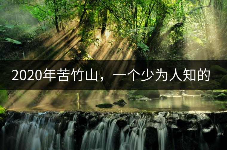 2020年苦竹山，一個(gè)少為人知的后起之秀！-易武中聘號(hào)