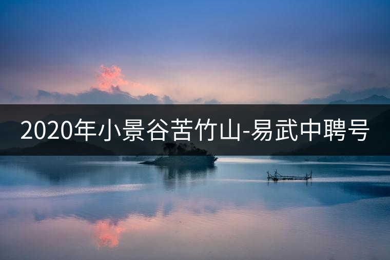 2020年小景谷苦竹山-易武中聘號 2020年小景谷苦竹山-易武中聘號