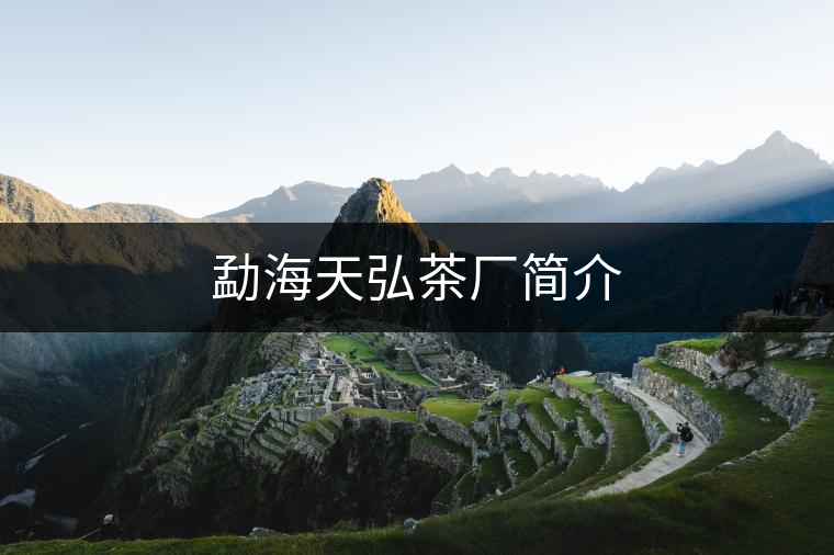 勐海天弘茶廠簡介