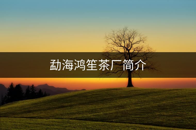 勐海鴻笙茶廠簡(jiǎn)介