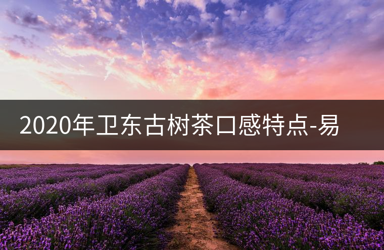 2020年衛(wèi)東古樹(shù)茶口感特點(diǎn)-易武中聘號(hào)