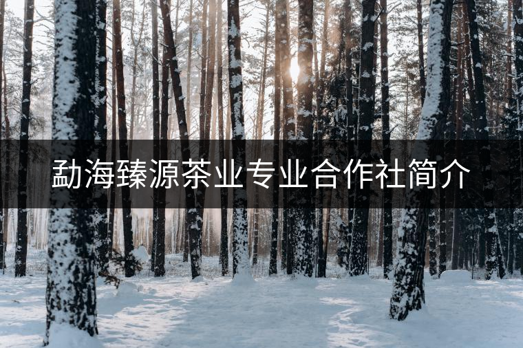 勐海臻源茶業(yè)專業(yè)合作社簡介