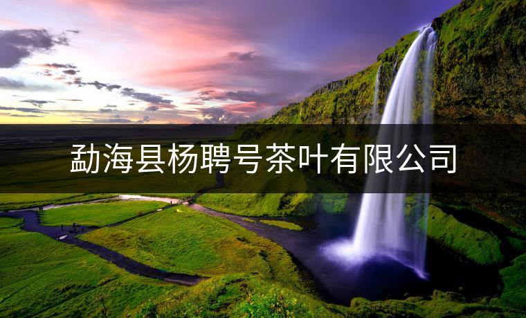 勐?？h楊聘號茶葉有限公司