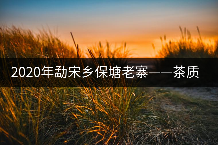 2020年勐宋鄉(xiāng)保塘老寨——茶質厚重,一飲難忘-易武中聘號