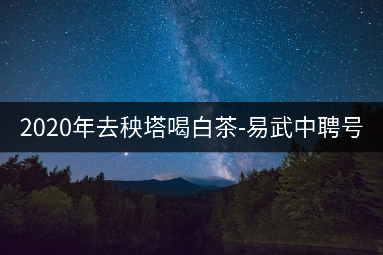 2020年去秧塔喝白茶-易武中聘號(hào) 2020年去秧塔喝白茶-易武中聘號(hào)