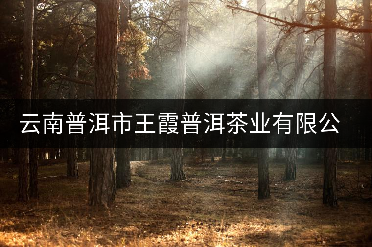 云南普洱市王霞普洱茶業(yè)有限公司簡介