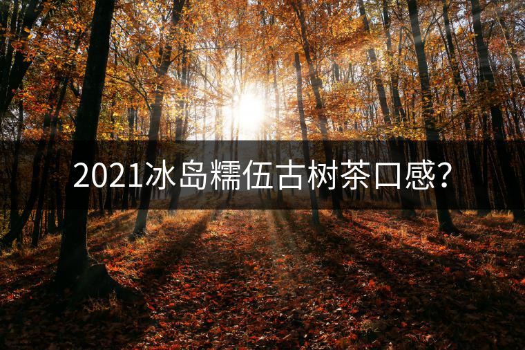 2021冰島糯伍古樹(shù)茶口感？