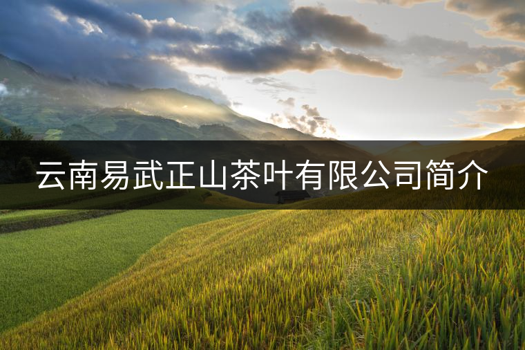 云南易武正山茶葉有限公司簡(jiǎn)介