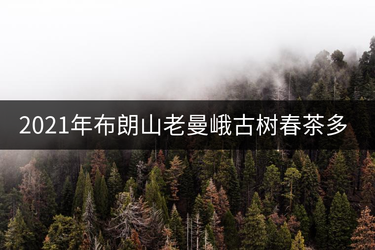 2021年布朗山老曼峨古樹春茶多少錢一公斤？