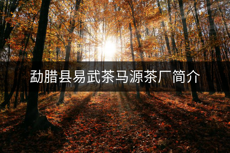 勐臘縣易武茶馬源茶廠簡介