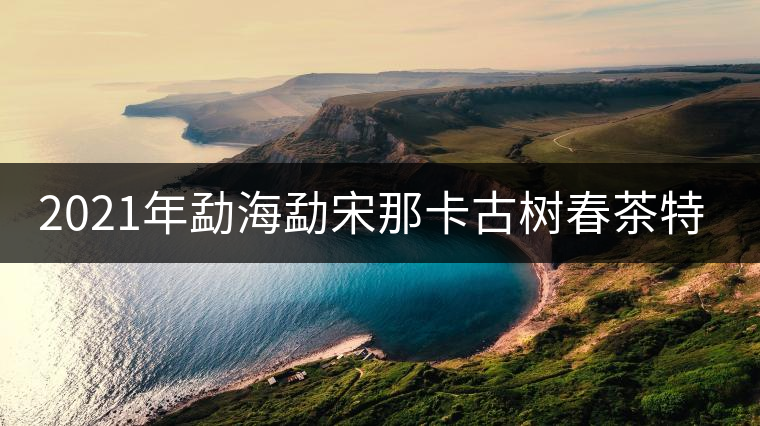 2021年勐海勐宋那卡古樹(shù)春茶特點(diǎn)？