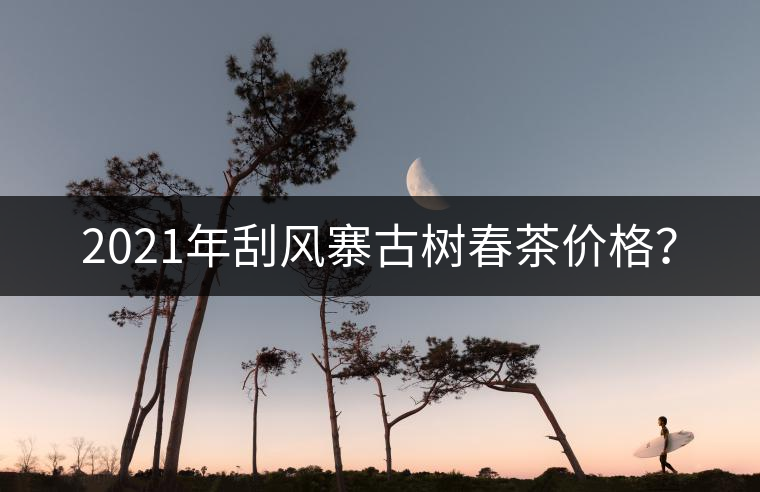 2021年刮風(fēng)寨古樹春茶價格？