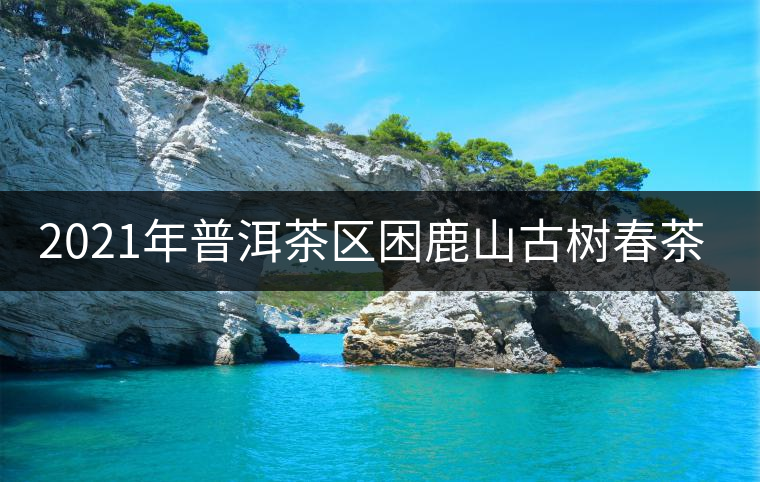 2021年普洱茶區(qū)困鹿山古樹春茶價格 2021年普洱茶區(qū)困鹿山古樹春茶價格