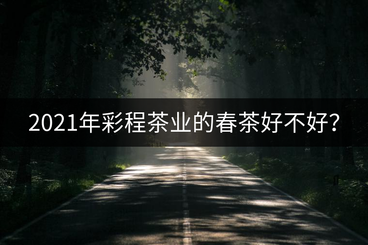 2021年彩程茶業(yè)的春茶好不好？