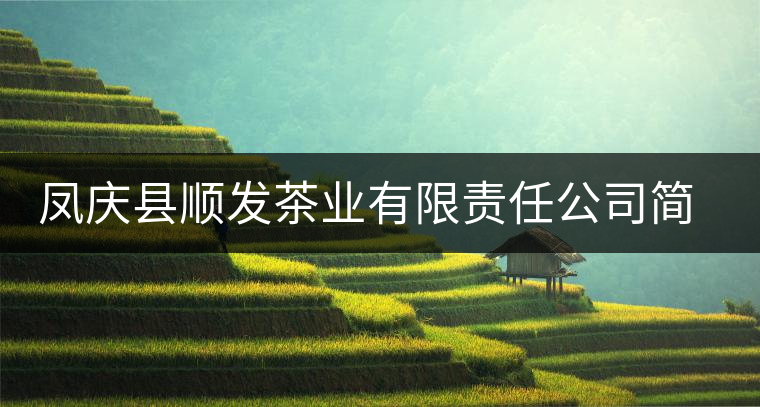 鳳慶縣順發(fā)茶業(yè)有限責任公司簡介