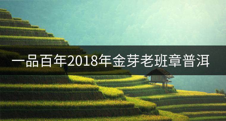 一品百年2018年金芽老班章普洱茶餅醇厚度好不好？