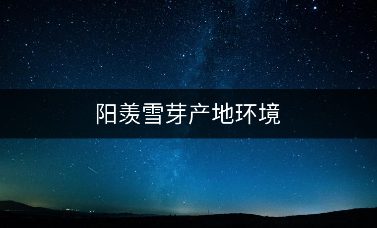 陽(yáng)羨雪芽產(chǎn)地環(huán)境