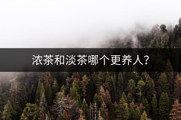 濃茶和淡茶哪個更養(yǎng)人？