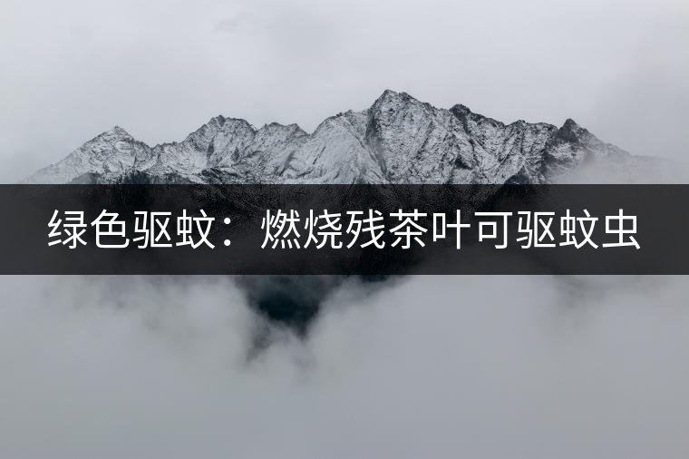 綠色驅(qū)蚊：燃燒殘茶葉可驅(qū)蚊蟲(chóng)