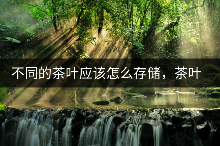 不同的茶葉應(yīng)該怎么存儲(chǔ)，茶葉罐又該如何選擇？