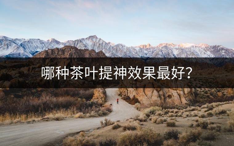 哪種茶葉提神效果最好？
