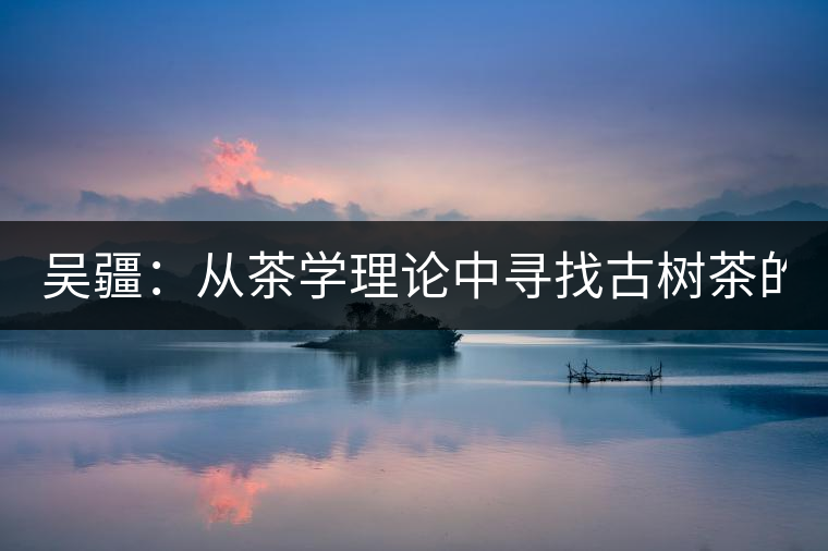 吳疆：從茶學(xué)理論中尋找古樹茶的鑒別方法？（讀書筆記3）