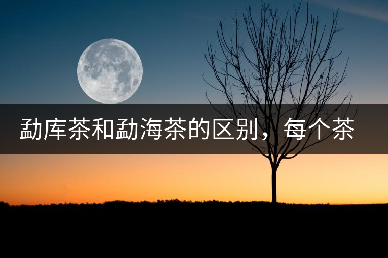 勐庫(kù)茶和勐海茶的區(qū)別，每個(gè)茶友都該了解的選茶常識(shí)！