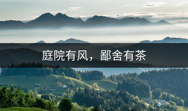 庭院有風(fēng)，鄙舍有茶