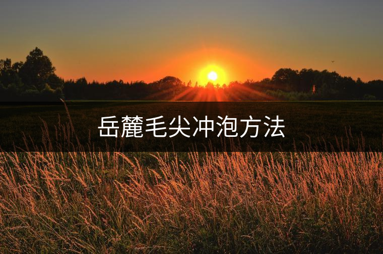 岳麓毛尖沖泡方法