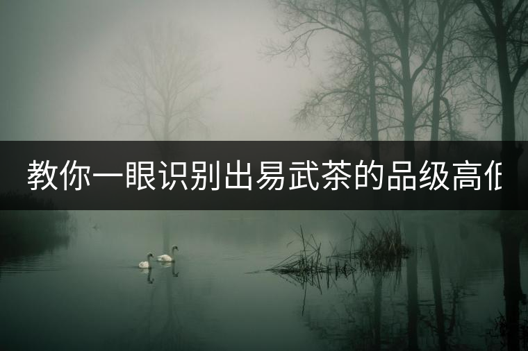 教你一眼識(shí)別出易武茶的品級(jí)高低！