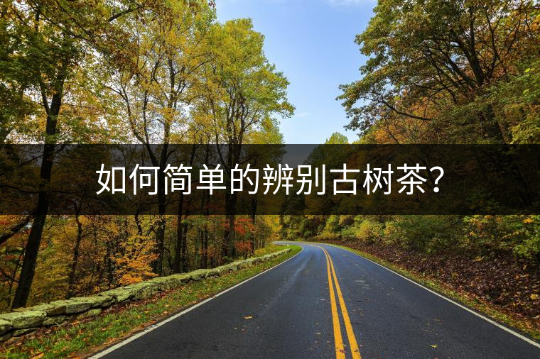如何簡(jiǎn)單的辨別古樹茶？