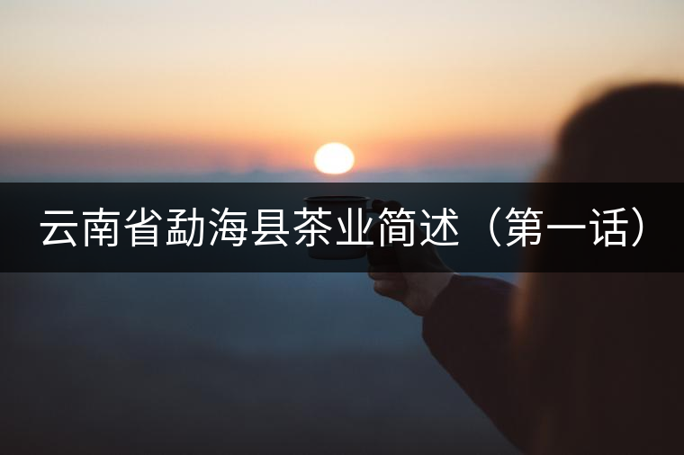 云南省勐?？h茶業(yè)簡(jiǎn)述（第一話）
