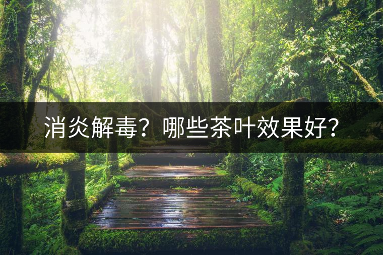 消炎解毒？哪些茶葉效果好？