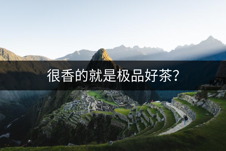 很香的就是極品好茶？
