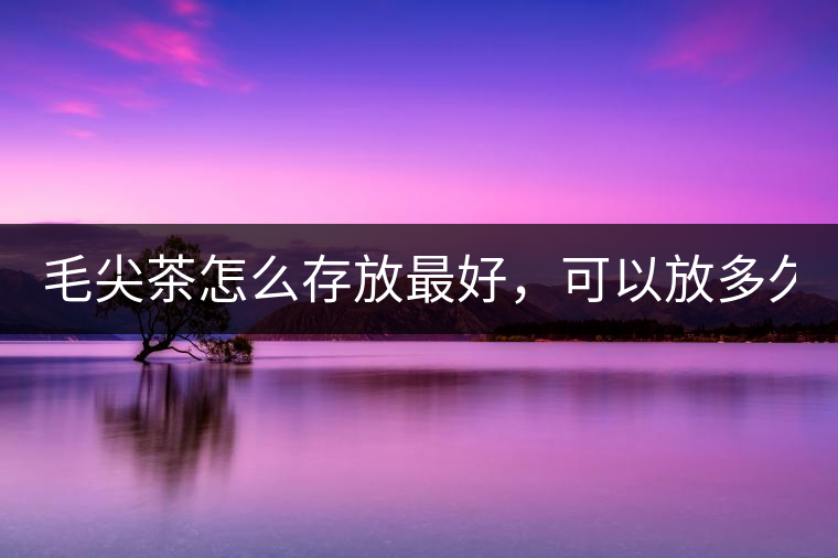 毛尖茶怎么存放最好，可以放多久？
