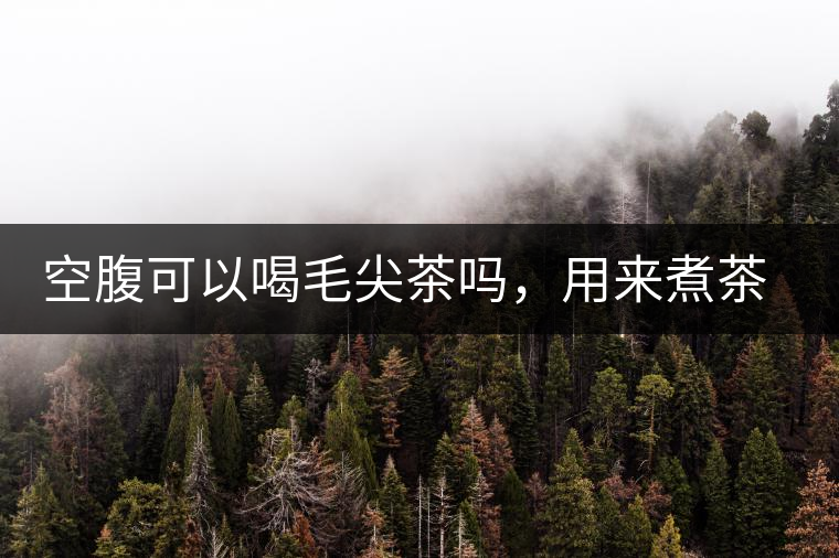 空腹可以喝毛尖茶嗎，用來煮茶葉蛋怎么樣？