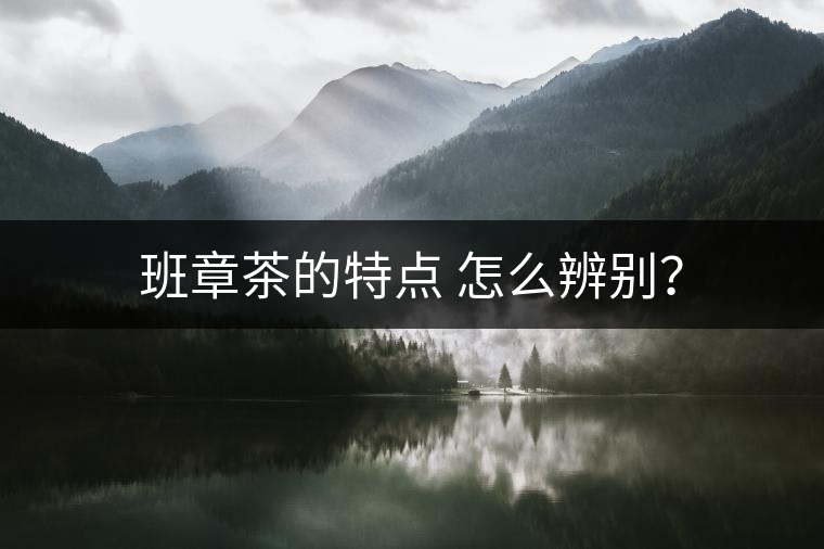 班章茶的特點(diǎn) 怎么辨別？