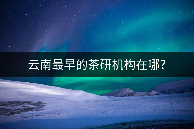 云南最早的茶研機(jī)構(gòu)在哪？