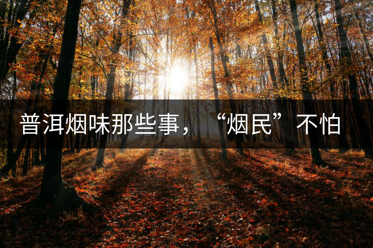 普洱煙味那些事，“煙民”不怕當(dāng)