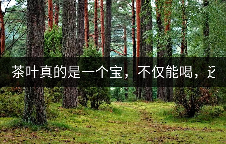 茶葉真的是一個寶，不僅能喝，還能用！