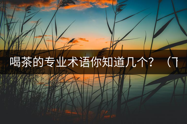 喝茶的專業(yè)術(shù)語你知道幾個？（下篇）