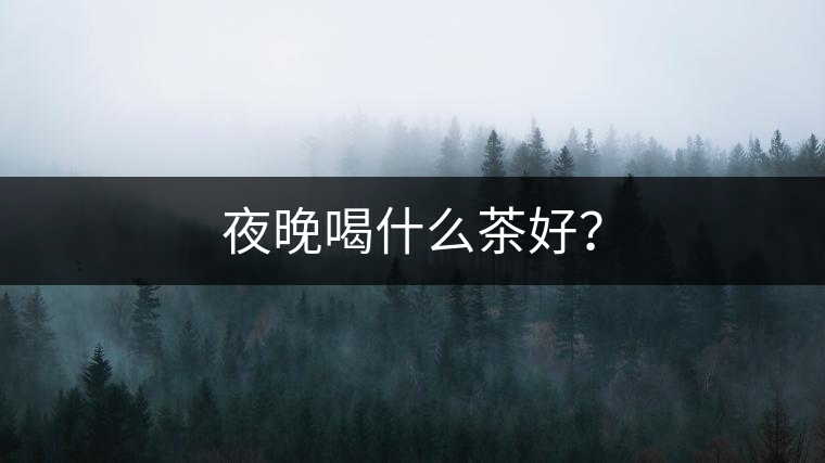 夜晚喝什么茶好？