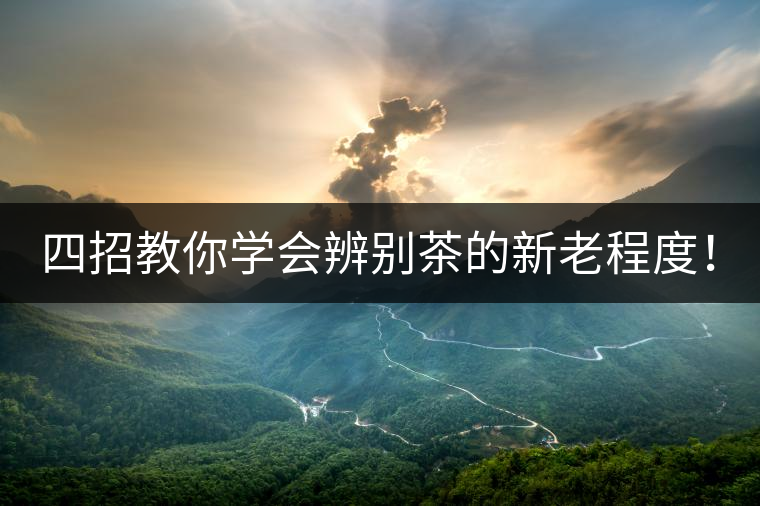 四招教你學(xué)會辨別茶的新老程度！