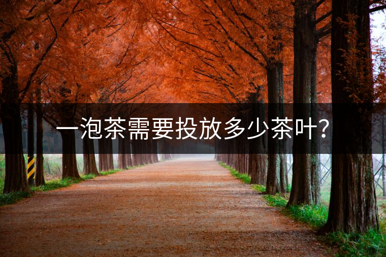 一泡茶需要投放多少茶葉？