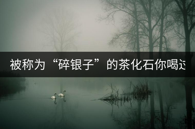 被稱為“碎銀子”的茶化石你喝過嗎？