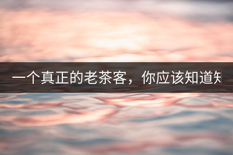 一個真正的老茶客，你應(yīng)該知道知識點！
