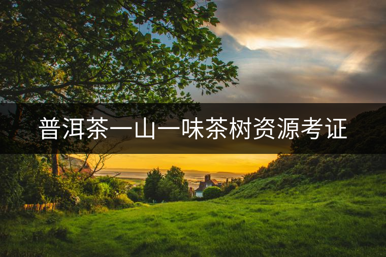 普洱茶一山一味茶樹資源考證 普洱茶一山一味茶樹資源考證