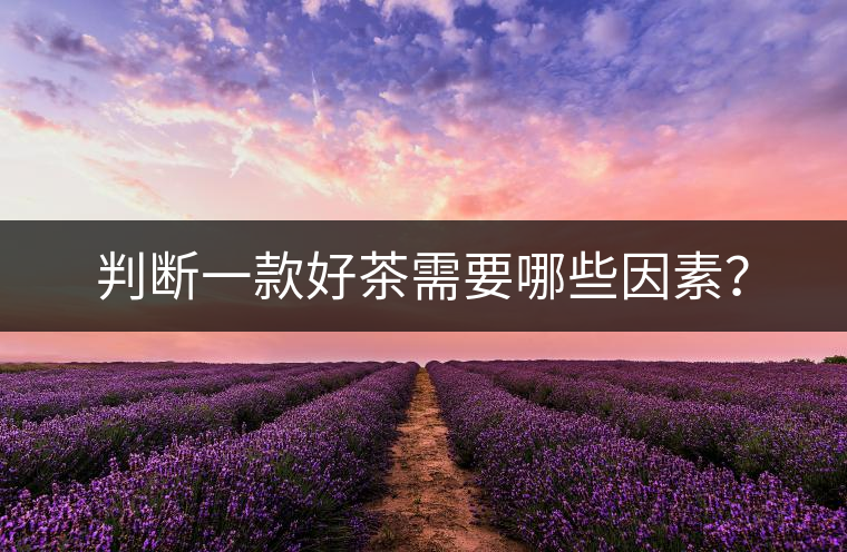 判斷一款好茶需要哪些因素？