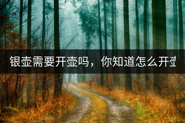 銀壺需要開壺嗎，你知道怎么開壺？